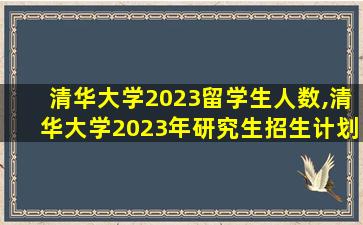 清华大学2023留学生人数,清华大学2023年研究生招生计划