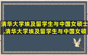 清华大学埃及留学生与中国女硕士,清华大学埃及留学生与中国女硕士比较