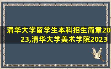 清华大学留学生本科招生简章2023,清华大学美术学院2023年本科招生简章