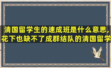 清国留学生的速成班是什么意思,花下也缺不了成群结队的清国留学生的速成班