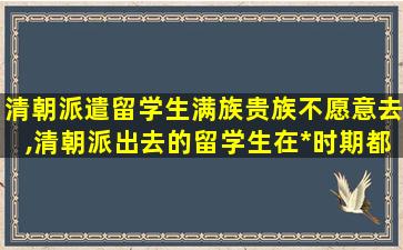 清朝派遣留学生满族贵族不愿意去,清朝派出去的留学生在*
时期都干什么了