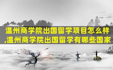 温州商学院出国留学项目怎么样,温州商学院出国留学有哪些国家