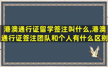 港澳通行证留学签注叫什么,港澳通行证签注团队和个人有什么区别