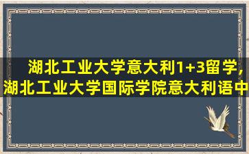 湖北工业大学意大利1+3留学,湖北工业大学国际学院意大利语中心