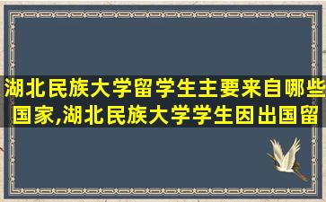 湖北民族大学留学生主要来自哪些国家,湖北民族大学学生因出国留学可保留学籍多少年