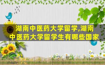 湖南中医药大学留学,湖南中医药大学留学生有哪些国家