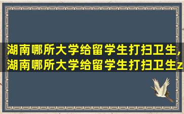 湖南哪所大学给留学生打扫卫生,湖南哪所大学给留学生打扫卫生zui
多