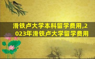 滑铁卢大学本科留学费用,2023年滑铁卢大学留学费用