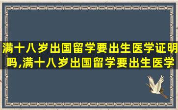 满十八岁出国留学要出生医学证明吗,满十八岁出国留学要出生医学证明吗怎么办