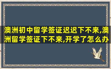 澳洲初中留学签证迟迟下不来,澳洲留学签证下不来,开学了怎么办