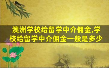 澳洲学校给留学中介佣金,学校给留学中介佣金一般是多少