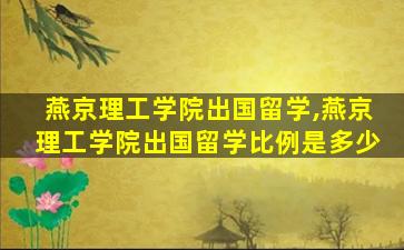 燕京理工学院出国留学,燕京理工学院出国留学比例是多少