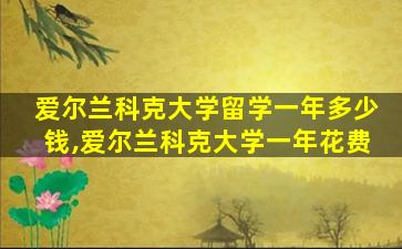 爱尔兰科克大学留学一年多少钱,爱尔兰科克大学一年花费