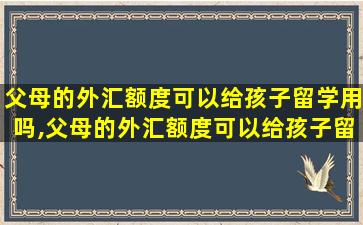 父母的外汇额度可以给孩子留学用吗,父母的外汇额度可以给孩子留学用吗知乎