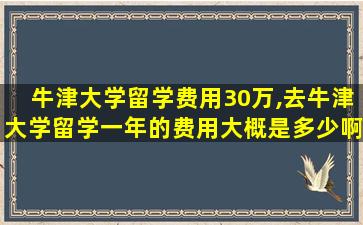 牛津大学留学费用30万,去牛津大学留学一年的费用大概是多少啊