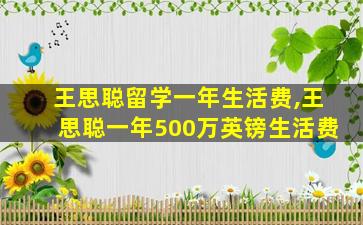 王思聪留学一年生活费,王思聪一年500万英镑生活费