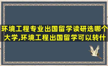 环境工程专业出国留学读研选哪个大学,环境工程出国留学可以转什么专业