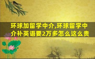 环球加留学中介,环球留学中介补英语要2万多怎么这么贵