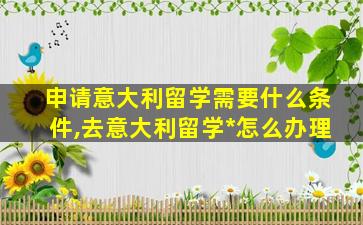 申请意大利留学需要什么条件,去意大利留学*
怎么办理