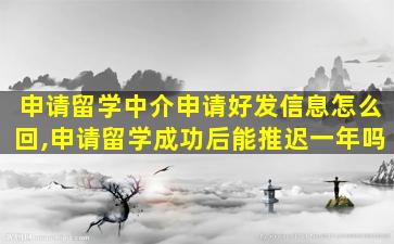 申请留学中介申请好发信息怎么回,申请留学成功后能推迟一年吗