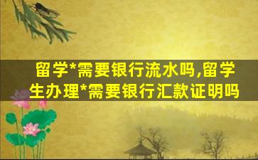 留学*
需要银行流水吗,留学生办理*
需要银行汇款证明吗