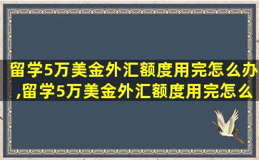 留学5万美金外汇额度用完怎么办,留学5万美金外汇额度用完怎么办呢