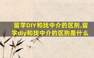 留学DIY和找中介的区别,留学diy和找中介的区别是什么