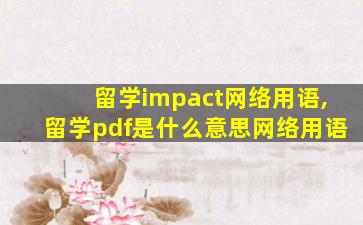 留学impact网络用语,留学pdf是什么意思网络用语