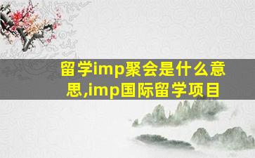 留学imp聚会是什么意思,imp国际留学项目