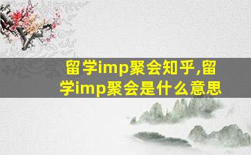 留学imp聚会知乎,留学imp聚会是什么意思