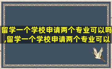 留学一个学校申请两个专业可以吗,留学一个学校申请两个专业可以吗知乎