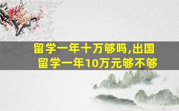 留学一年十万够吗,出国留学一年10万元够不够