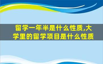 留学一年半是什么性质,大学里的留学项目是什么性质