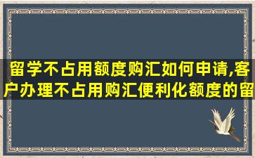 留学不占用额度购汇如何申请,客户办理不占用购汇便利化额度的留学学费