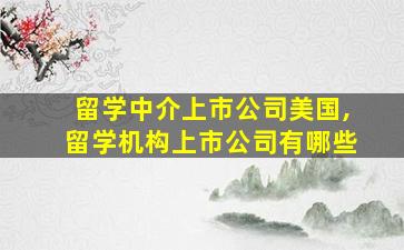 留学中介上市公司美国,留学机构上市公司有哪些