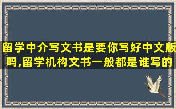 留学中介写文书是要你写好中文版吗,留学机构文书一般都是谁写的