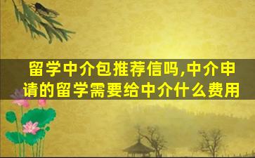 留学中介包推荐信吗,中介申请的留学需要给中介什么费用