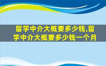 留学中介大概要多少钱,留学中介大概要多少钱一个月