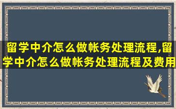 留学中介怎么做帐务处理流程,留学中介怎么做帐务处理流程及费用