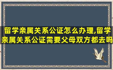 留学亲属关系公证怎么办理,留学亲属关系公证需要父母双方都去吗