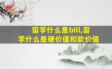 留学什么是bill,留学什么是硬价值和软价值