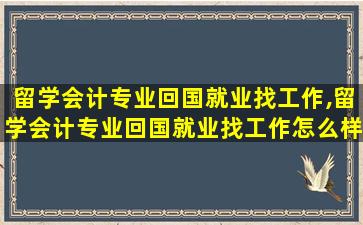 留学会计专业回国就业找工作,留学会计专业回国就业找工作怎么样