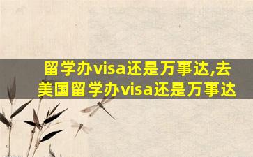 留学办visa还是万事达,去美国留学办visa还是万事达