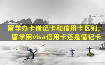 留学办卡借记卡和信用卡区别,留学用visa信用卡还是借记卡