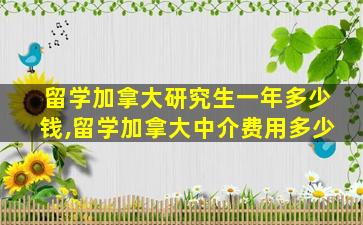 留学加拿大研究生一年多少钱,留学加拿大中介费用多少