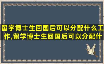 留学博士生回国后可以分配什么工作,留学博士生回国后可以分配什么工作岗位