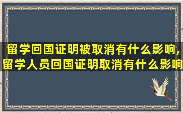 留学回国证明被取消有什么影响,留学人员回国证明取消有什么影响