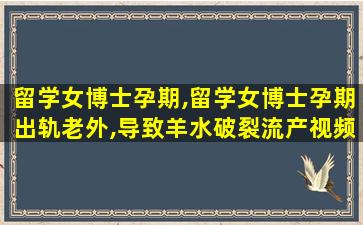 留学女博士孕期,留学女博士孕期出轨老外,导致羊水破裂流产视频