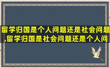 留学归国是个人问题还是社会问题,留学归国是社会问题还是个人问题一辩稿