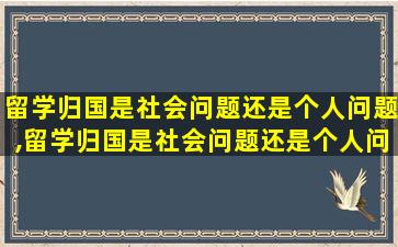 留学归国是社会问题还是个人问题,留学归国是社会问题还是个人问题一辩稿